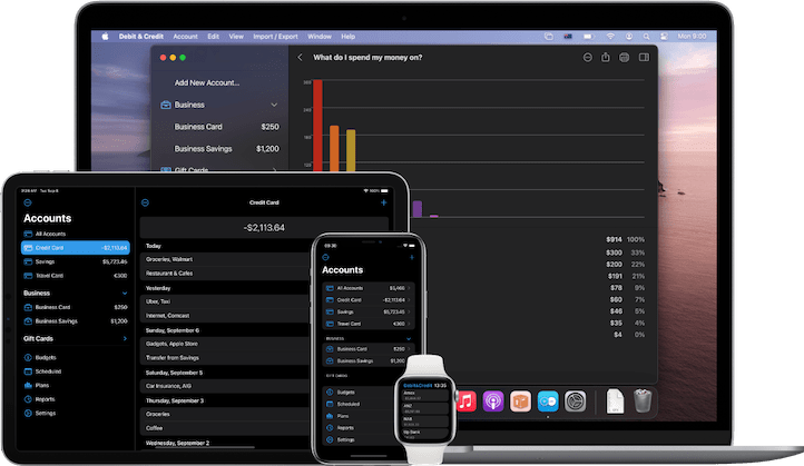 Screenshot of Debit & Credit app
